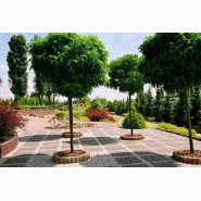 Płytki chodnikowe